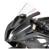 AP Carbon Line - Race Windscreen (Clear) - 2020-21 BMW S1000RR AP Carbon Line - Race Windscreen (Clear) - 2020-21 BMW S1000RR