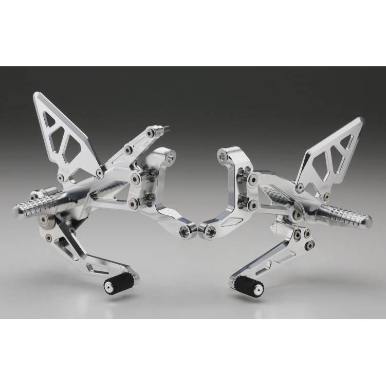 Aella Riding Step Kit (Rearsets) - Ducati Panigale V4 Aella Riding Step Kit (Rearsets) - Ducati Panigale V4