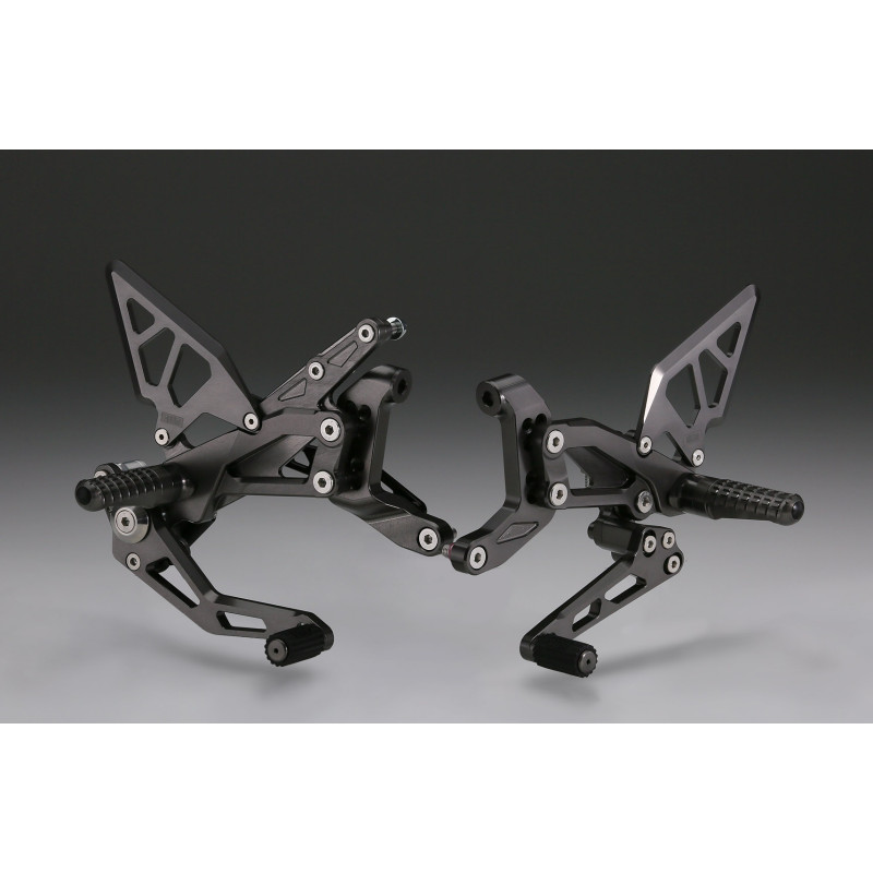 AELLA Riding Step Kit Rearsets for the Ducati Streetfighter V4 / S