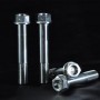 Aella Titanium Caliper Bolts for Ducati (M10x55 - Pitch 1.25) - Ducati Panigale V4