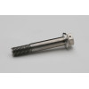 Aella Titanium Caliper Bolts for Ducati (M10x55 - Pitch 1.25) - Ducati Panigale V4