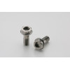 Aella Titanium Bolt/Rear Caliper Mount Bolts M8L20 x 1.25 - Ducati Panigale V4
