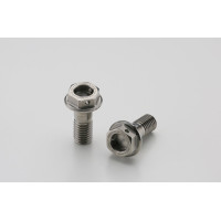 Aella Titanium Bolt/Rear Caliper Mount Bolts M8L20 x 1.25 - Ducati Panigale V4