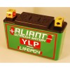 Aliant YLP07 7.0 AH ALICHEM Lifepo4 Battery