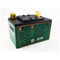 Aliant YLP05B 5.0 AH ALICHEM Lifepo4 Battery
