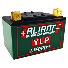 Aliant YLP05B 5.0 AH ALICHEM Lifepo4 Battery