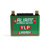 Aliant YLP10 10.0 AH ALICHEM Lifepo4 Battery