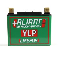 Aliant YLP10 10.0 AH ALICHEM Lifepo4 Battery