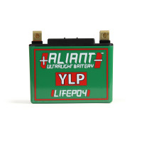 Aliant YLP10 10.0 AH ALICHEM Lifepo4 Battery