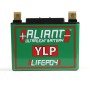 Aliant YLP10 10.0 AH ALICHEM Lifepo4 Battery