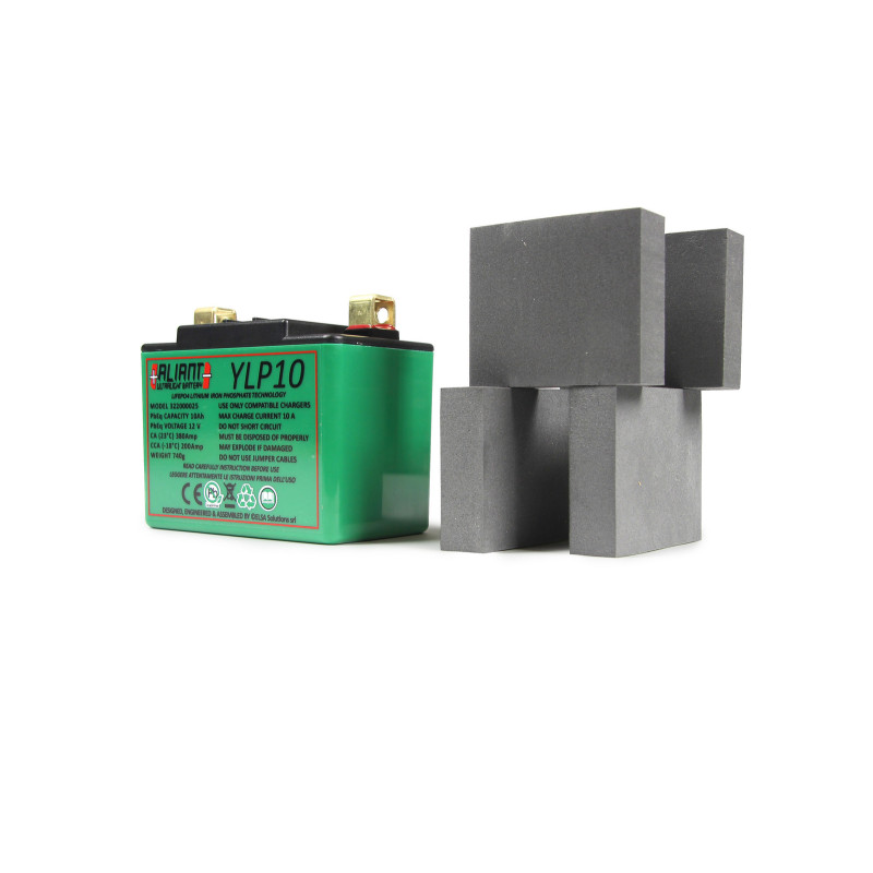 Aliant YLP10 10.0 AH ALICHEM Lifepo4 Battery
