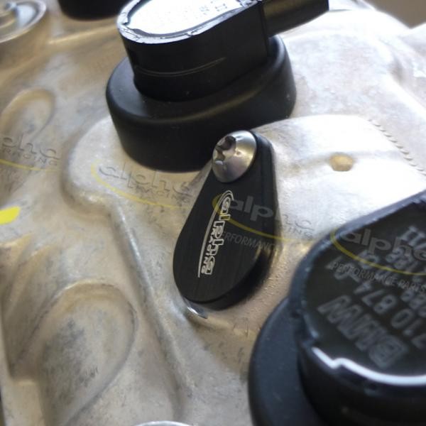 Alpha Racing SLS Block Off Plugs - 2009-2018 BMW S1000RR / HP4