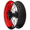 Alpina STS2 Tubeless Bicolor Custom Spoke Wheels Ducati Paul Smart 2005 - 2007 Alpina STS2 Tubeless Bicolor Custom Spoke Wheels Ducati Paul Smart 2005 - 2007