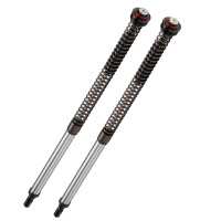 Bitubo Racing JBH0 Pressurized Cartridge Kit For 2021-2023 Aprilia Tuareg 660