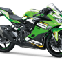 2023-2025 Kawasaki ZX-4RR Race ECU Flash