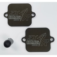 Graves Motorsports Kawasaki Ninja ZX4-RR / ZX6-R / ZX-10R Smog Block Off Plates Graves Motorsports Kawasaki Ninja ZX4-RR / ZX6-R / ZX-10R Smog Block Off Plates