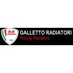 H2O Performance (Galletto Radiatori)