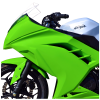 Hotbodies Racing Race Bodywork 2013-2017 Kawasaki Ninja 300 (Colorform Green) Hotbodies Racing Race Bodywork 2013-2017 Kawasaki Ninja 300 (Colorform Green)