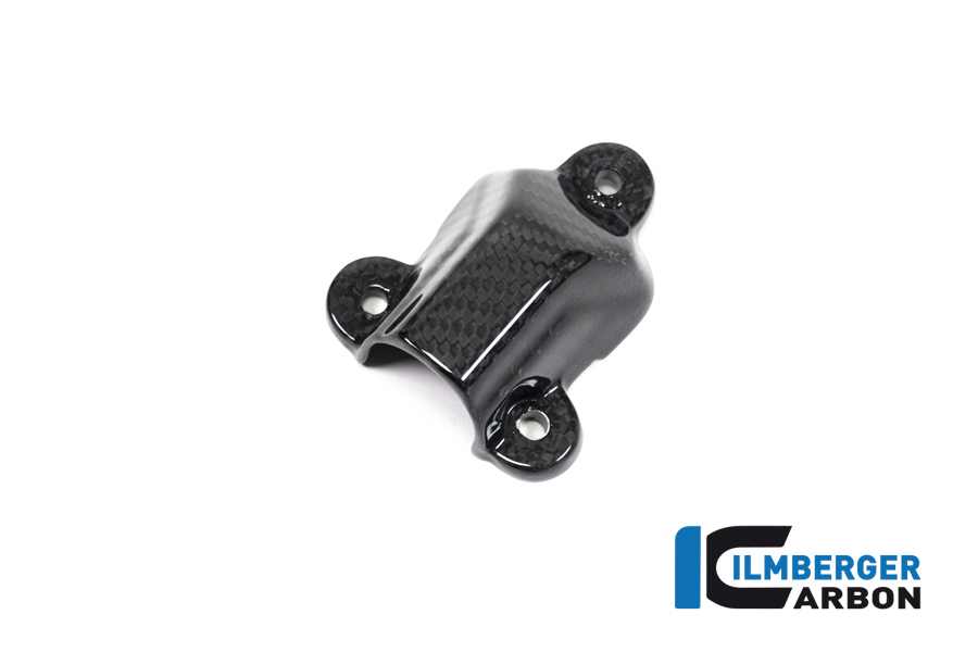Ilmberger Carbon Waterpump Cover  - 2020 BMW S1000RR (2019 Euro)