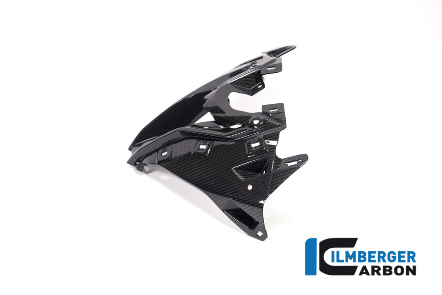 Ilmberger Carbon Upper Fairing Center Panel  - 2020 BMW S1000RR (2019 Euro)