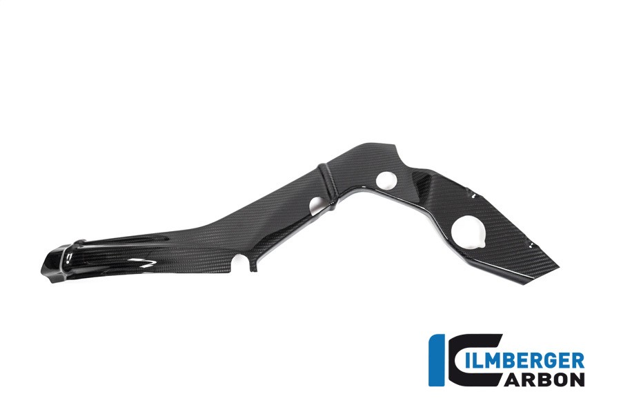 Ilmberger Carbon Frame Cover Set (small version)  - 2020 BMW S1000RR (2019 Euro)