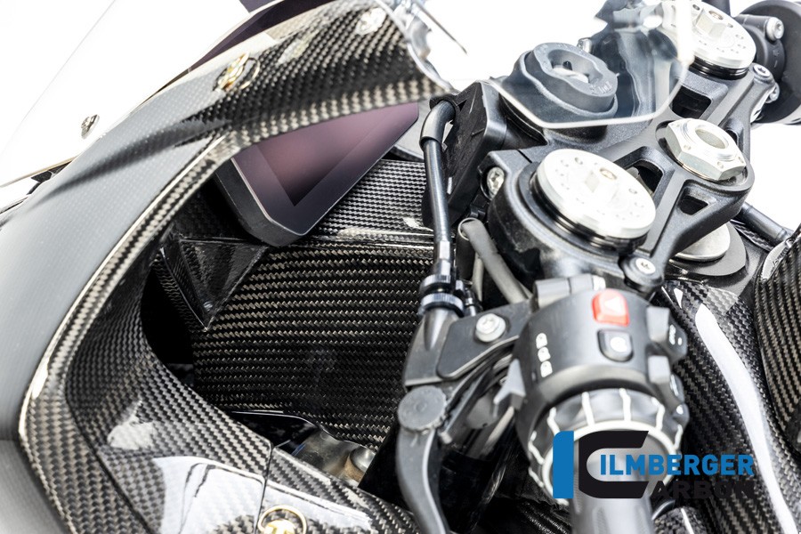 Ilmberger Carbon Upper Fairing Stay / Dash Mount - 2020 BMW S1000RR (2019 Euro)
