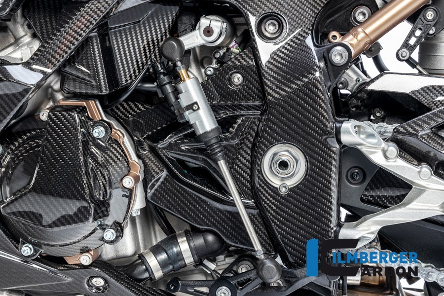 Ilmberger Carbon Sprocket Cover  - 2020 BMW S1000RR (2019 Euro)