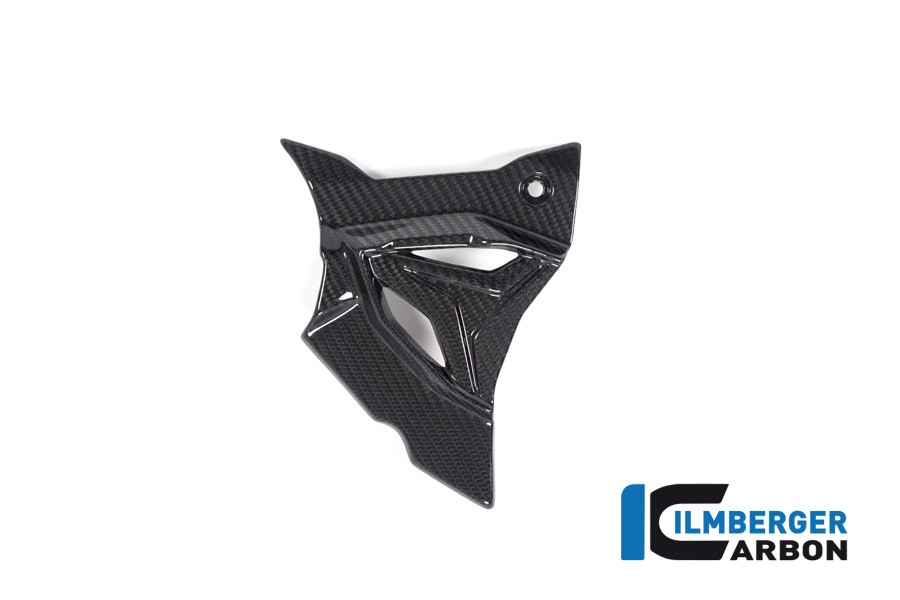 Ilmberger Carbon Sprocket Cover  - 2020 BMW S1000RR (2019 Euro)