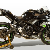 M4 FULL SYSTEM CARBON FIBER CANISTER 2017-2023 Kawasaki Ninja 650/Z650