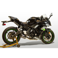 M4 FULL SYSTEM CARBON FIBER CANISTER 2017-2023 Kawasaki Ninja 650/Z650