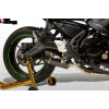 M4 FULL SYSTEM CARBON FIBER CANISTER 2017-2023 Kawasaki Ninja 650/Z650