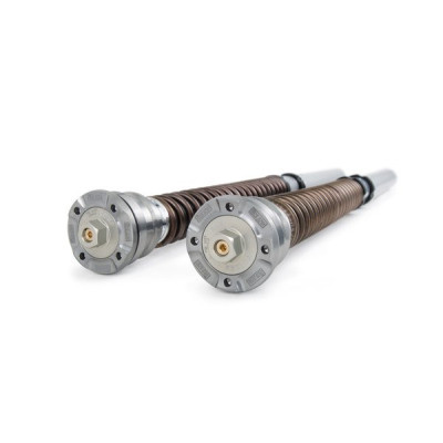 Ohlins NIX 30 Cartridge Kit - Aprilia RS 660 (2021-2022) Ohlins NIX 30 Cartridge Kit - Aprilia RS 660 (2021-2022)