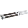 Ohlins NIX 30 Cartridge Kit - Aprilia RS 660 (2021-2022)
