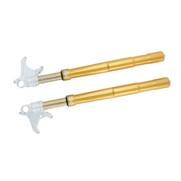 Ohlins FGRT 232 Road & Track Front Forks - BMW S1000RR (2019-2025) / M1000RR (2021-2025) Ohlins FGRT 232 Road & Track Front Forks - BMW S1000RR (2019-2025) / M1000RR (2021-2025)