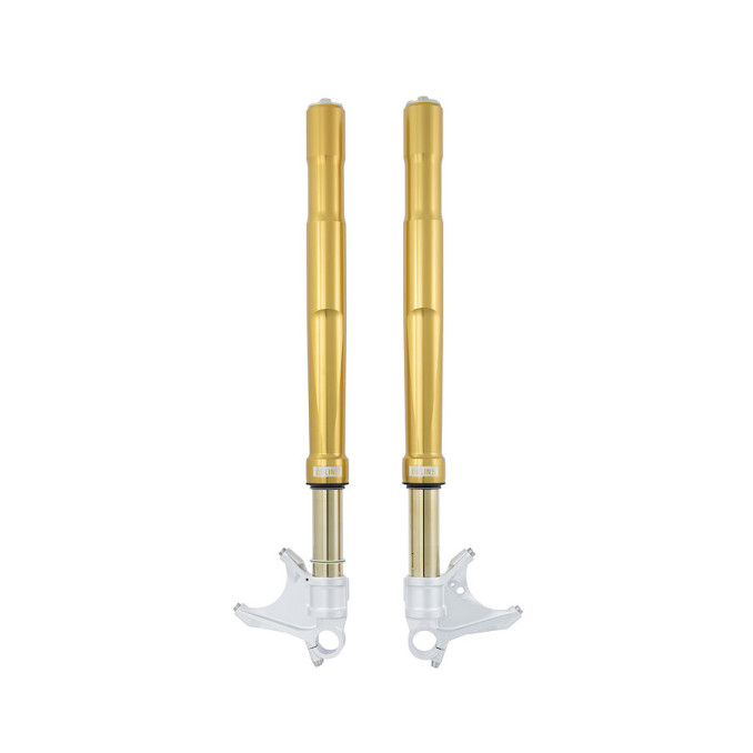 Ohlins FGRT 207 Upside Down Front Fork | Kawasaki| ZZ-R1400 (2006-2020)