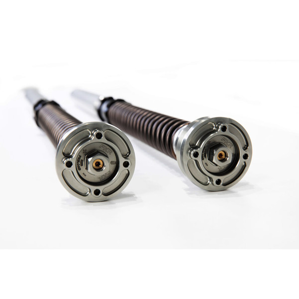 Ohlins FKR 119 TTX 25mm Pressurized Cartridge Kit - Suzuki GSX-R600 / GSX-R750 (2011-2019)