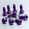 Pro-Bolt Titanium Quick Release Stud Allen Key 17mm Set of 10 Pro-Bolt Titanium Quick Release Stud Allen Key 17mm Set of 10