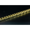 RK Takasago XRU MotoGP Racing Chain - 520 - 120 Link - UW-Ring RK Takasago XRU MotoGP Racing Chain - 520 - 120 Link - UW-Ring