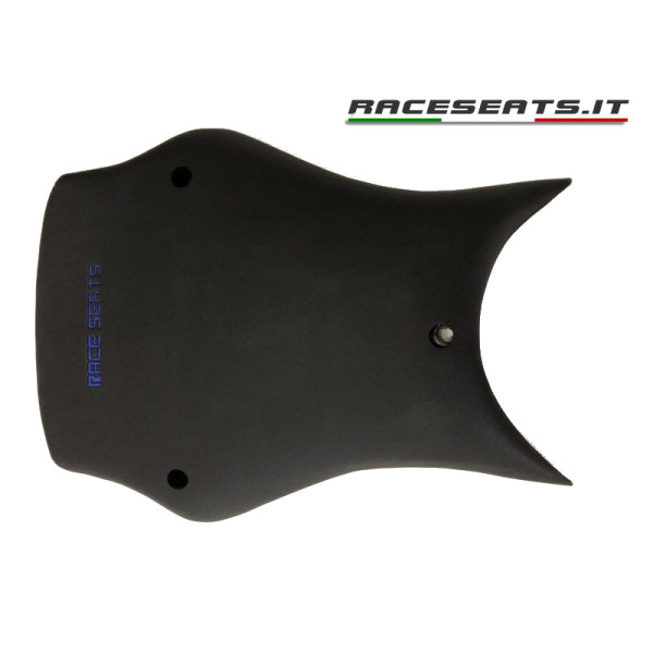 Race Seats Competition Line Carbon Fiber Seat Plate - BMW HP4 Race Race Seats Competition Line Carbon Fiber Seat Plate - BMW HP4 Race