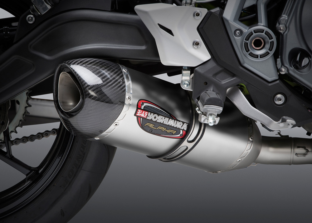 Kawasaki Ninja / Z 650 2017-19 Race ALPHA FS SS-SS-CF Works Finish