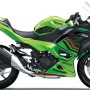 2024+ Kawasaki Ninja 500 / EX500 Race ECU Flash