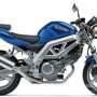 2007-10 Suzuki SV650 Race ECU Flash