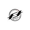 FT ECU