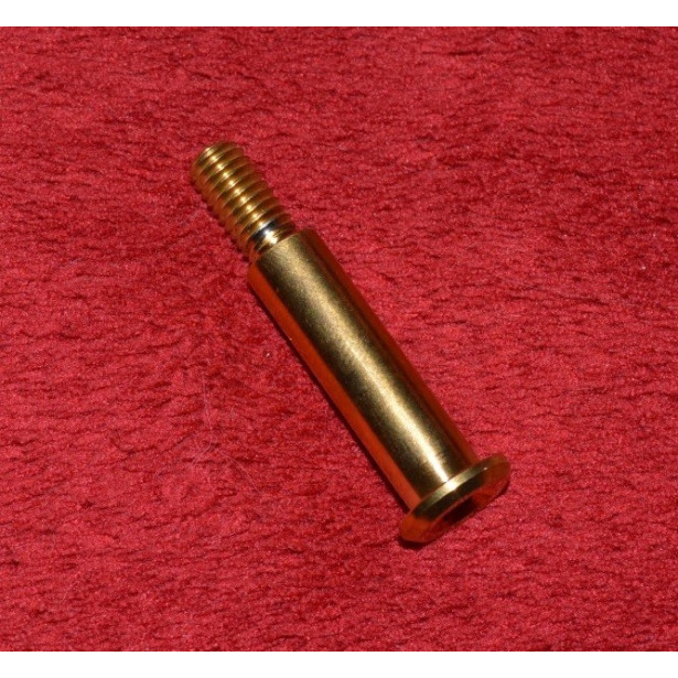 Gold Titanium Lever Pivolt Bolt Pins for Brembo RCS Master Cylinders Gold Titanium Lever Pivolt Bolt Pins for Brembo RCS Master Cylinders