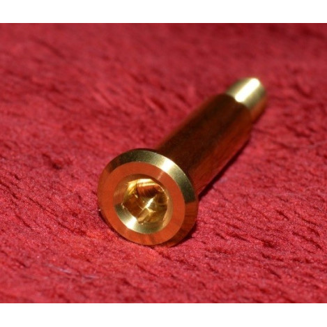 Gold Titanium Lever Pivolt Bolt Pins for Brembo RCS Master Cylinders Gold Titanium Lever Pivolt Bolt Pins for Brembo RCS Master Cylinders