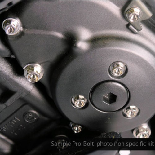 Pro-Bolt Titanium Engine Bolt Kit - BMW S1000RR 2010-2014