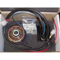 BDK Race Alternator / Stator for 2009-2014 Yamaha YZF-R1 BDK Race Alternator / Stator for 2009-2014 Yamaha YZF-R1