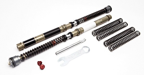 SUZUKI マンドリン M30 ハードケース・TUNING FORK（音叉） SUZUKI マンドリン M30 ハードケース・TUNING FORK（音叉） 【公式通販】