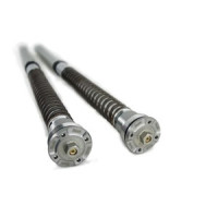 Ohlins FGK 234 30mm NIX Front Fork Cartridge Kit - Yamaha YZF-R1M (2015-2019)
