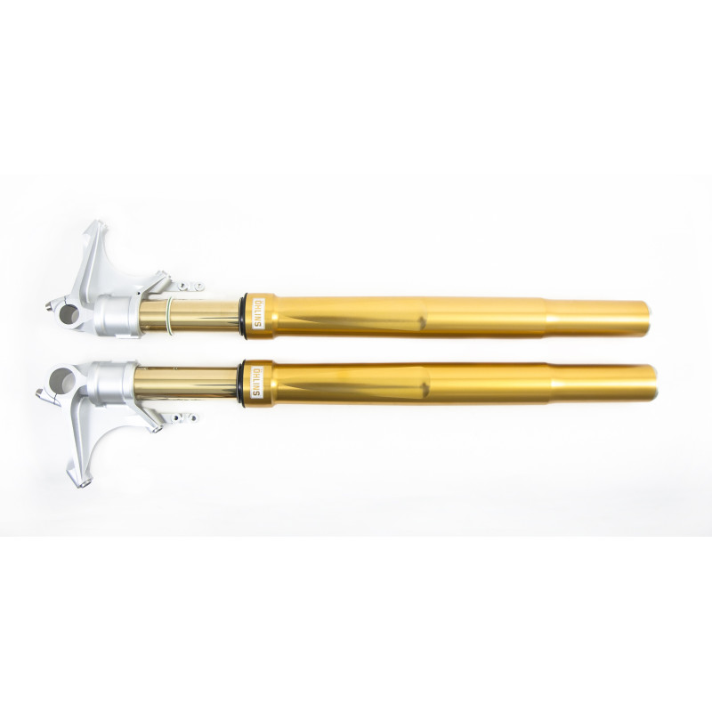 Ohlins FGRT 204 Upside Down Front Fork Road & Track - Honda CBR1000RR (2012-2019)